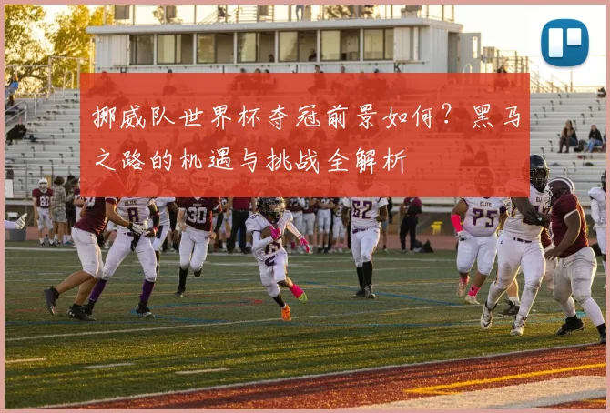 挪威队世界杯夺冠前景如何？黑马之路的机遇与挑战全解析